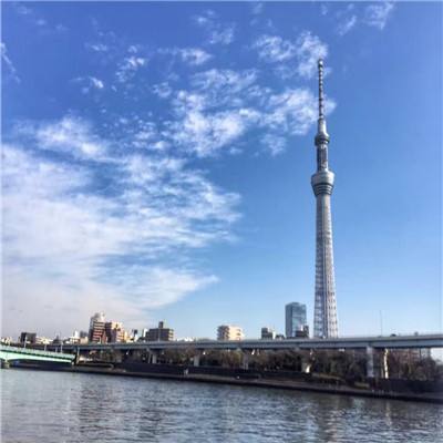 追妖记官方正版下载